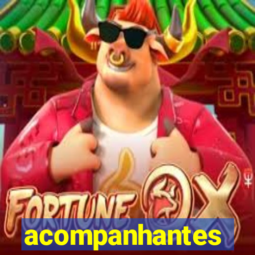 acompanhantes gordinhas santos