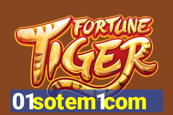 01sotem1com