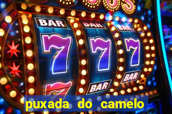 puxada do camelo no jogo do bicho