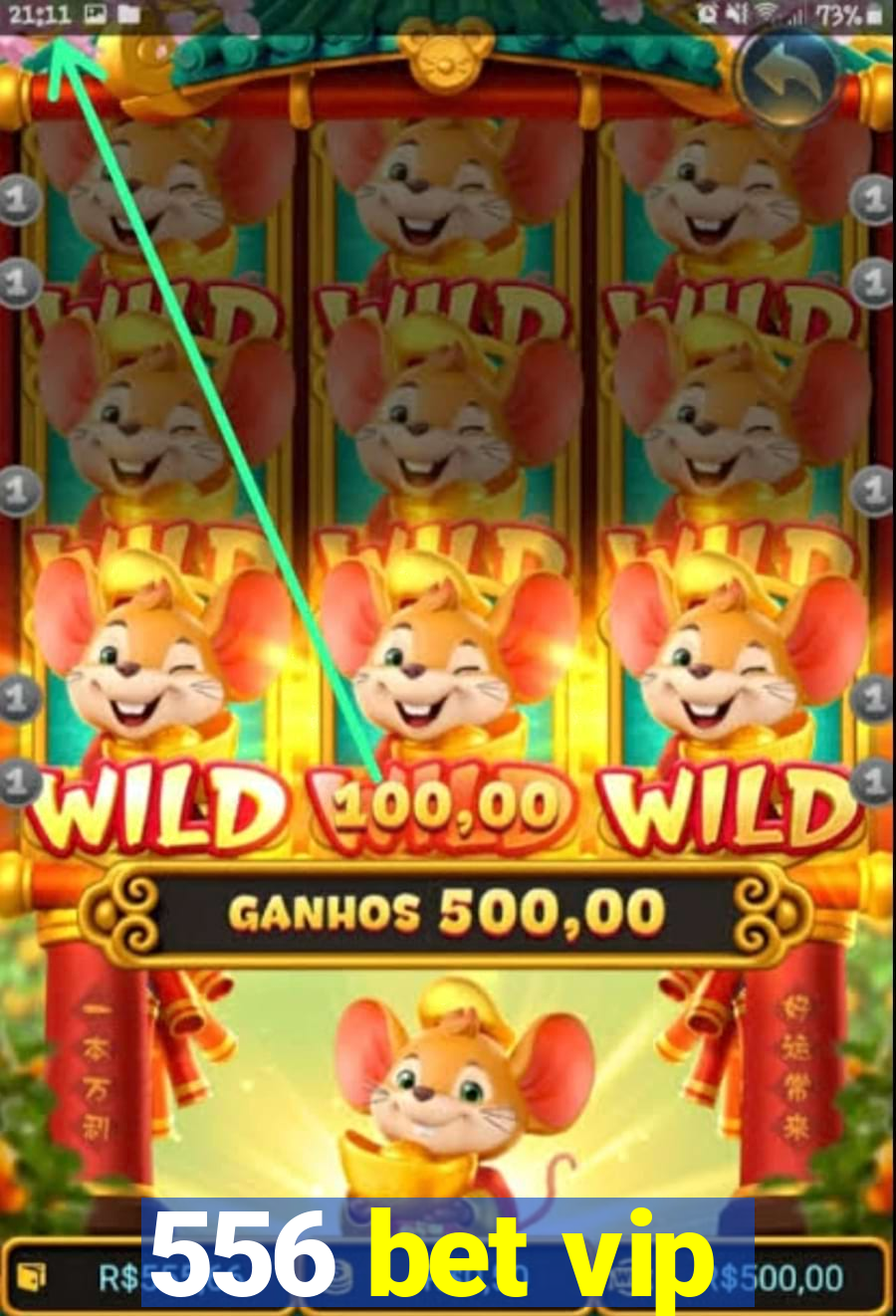 556 bet vip