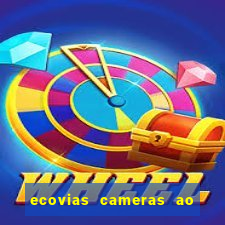 ecovias cameras ao vivo santos