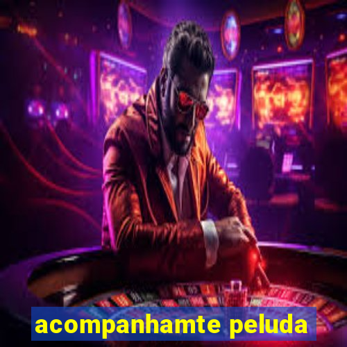 acompanhamte peluda