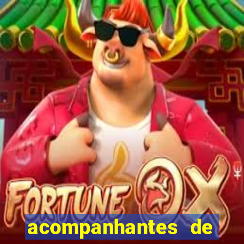 acompanhantes de juiz de fora
