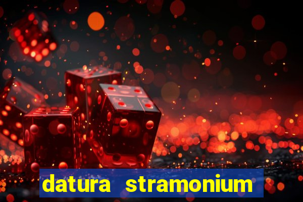 datura stramonium medicinal uses