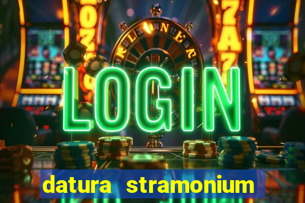 datura stramonium medicinal uses
