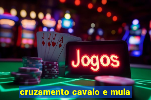 cruzamento cavalo e mula
