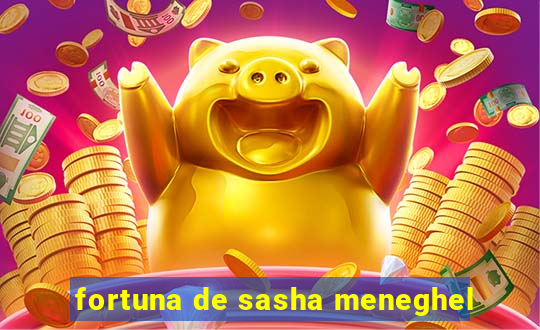 fortuna de sasha meneghel