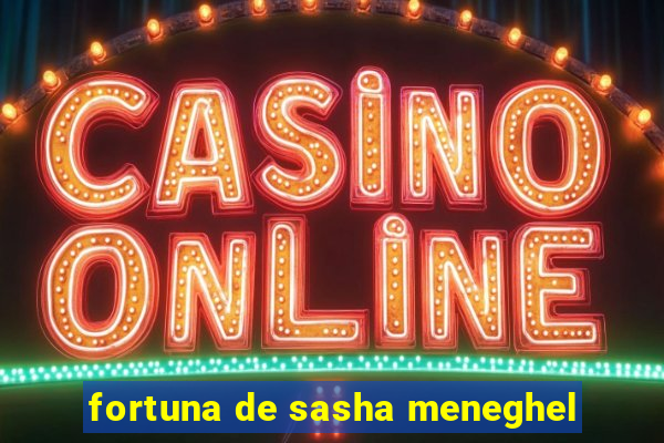 fortuna de sasha meneghel