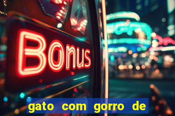 gato com gorro de natal meme