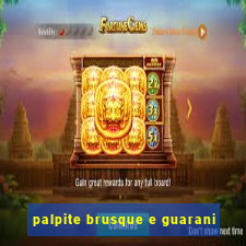 palpite brusque e guarani