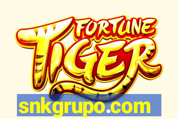 snkgrupo.com