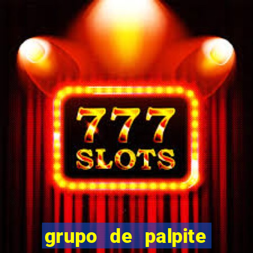 grupo de palpite de futebol telegram