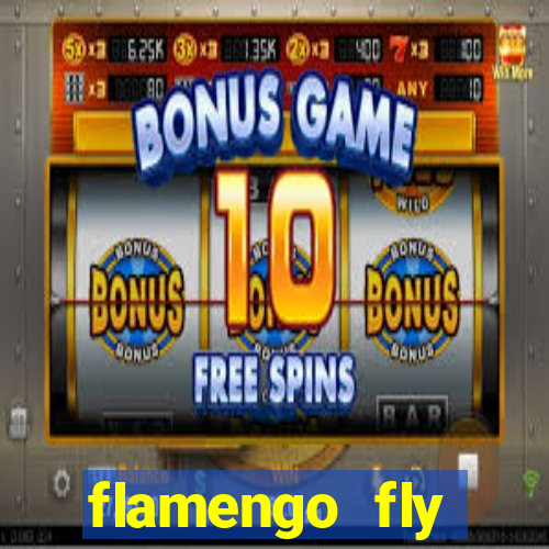 flamengo fly emirates ultimas noticias