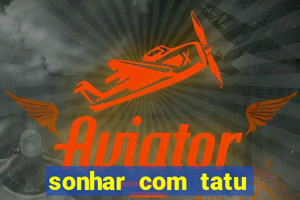 sonhar com tatu jogo do bicho