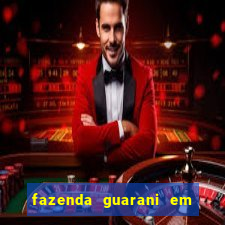 fazenda guarani em nova andradina ms