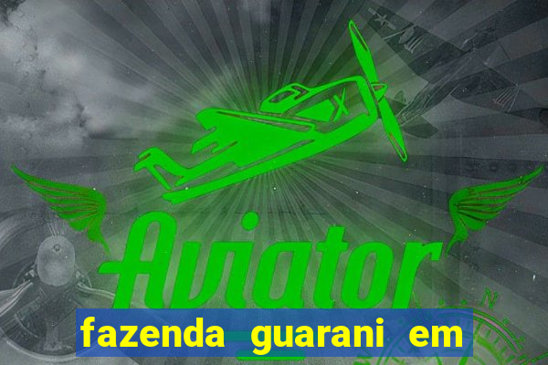 fazenda guarani em nova andradina ms