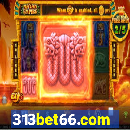 313bet66.com