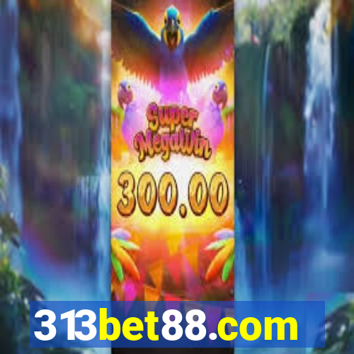313bet88.com