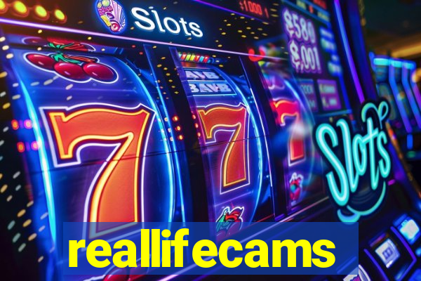 reallifecams