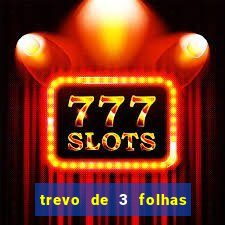 trevo de 3 folhas significado espiritual