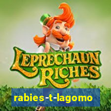 rabies-t-lagomorph