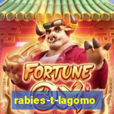 rabies-t-lagomorph