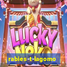 rabies-t-lagomorph