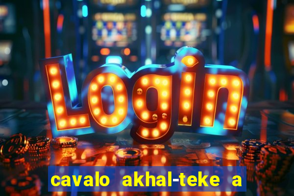 cavalo akhal-teke a venda no brasil cavalo akhal teke no