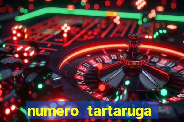 numero tartaruga jogo do bicho