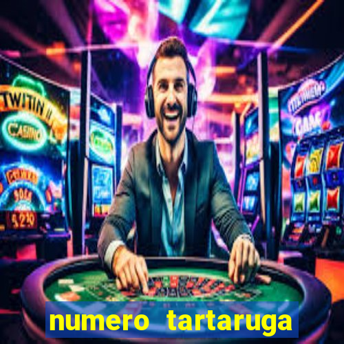 numero tartaruga jogo do bicho