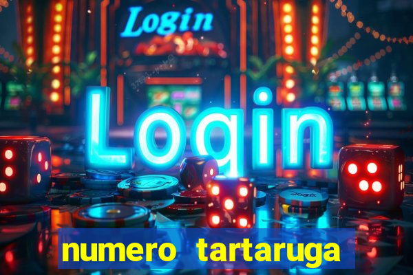 numero tartaruga jogo do bicho