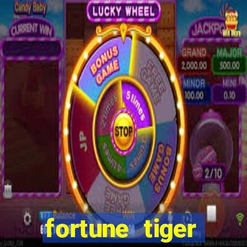 fortune tiger cassino pix