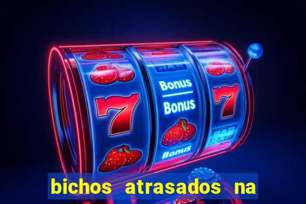 bichos atrasados na loteria federal