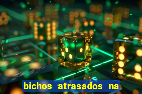bichos atrasados na loteria federal