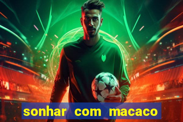 sonhar com macaco o que significa
