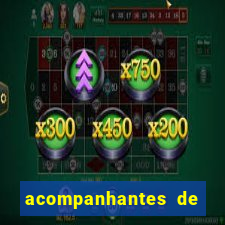 acompanhantes de luxo porto feliz