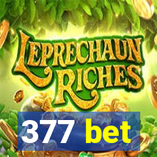 377 bet