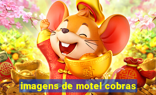 imagens de motel cobras