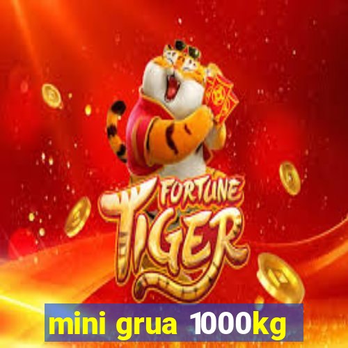 mini grua 1000kg