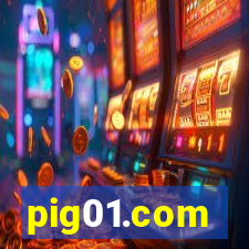 pig01.com