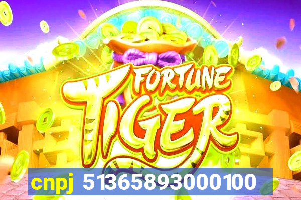 cnpj 51365893000100