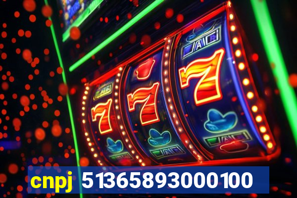 cnpj 51365893000100