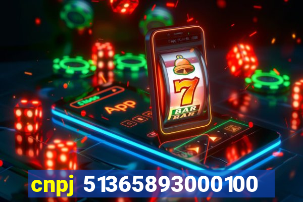 cnpj 51365893000100