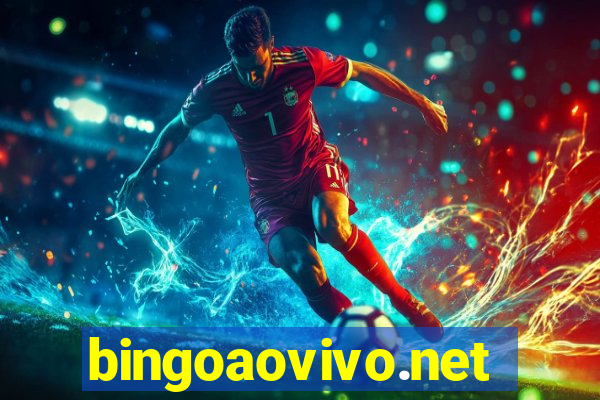 bingoaovivo.net