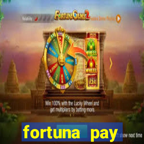 fortuna pay consultoria financeira ltda