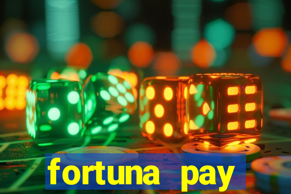fortuna pay consultoria financeira ltda