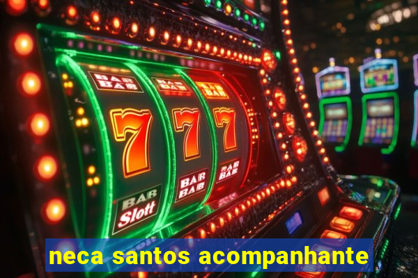 neca santos acompanhante