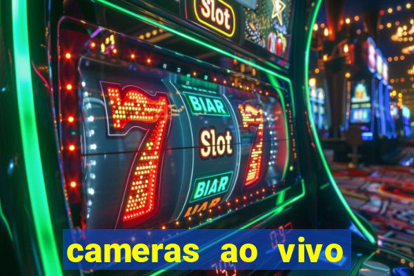 cameras ao vivo beto carrero