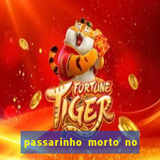 passarinho morto no quintal significado espiritual