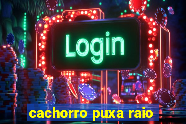 cachorro puxa raio